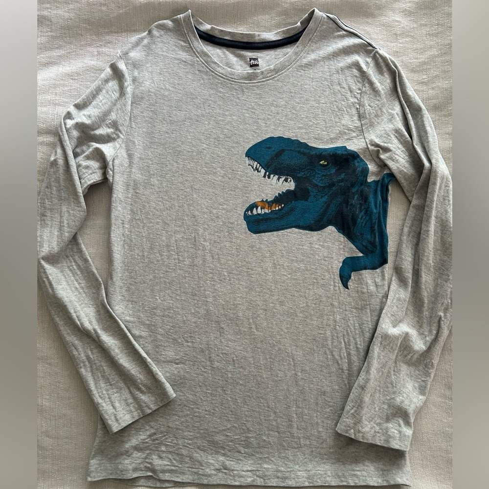 Tea Collection boys sz 16 L/S tee